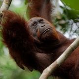 Abbildng: Platzhalter