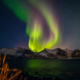 Abbildng: Platzhalter