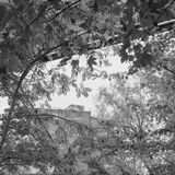 Abbildng: Platzhalter