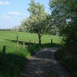 Abbildng: Platzhalter